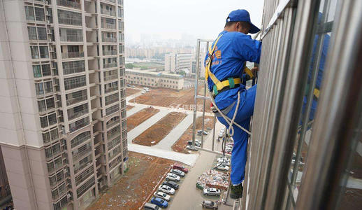 Cover Image for 关于生活与生存